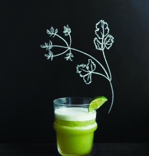 pisco sour with cilantro, lime and agave      